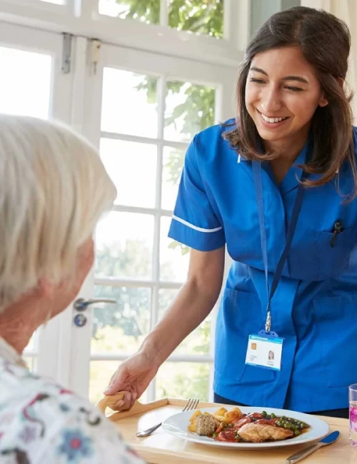 Home making services in Indianapolis and Surrounding areas Aken Home Care LLC